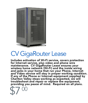 Fiberhood---CV-GigaRouter